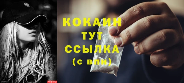 мяу мяу кристалл Няндома