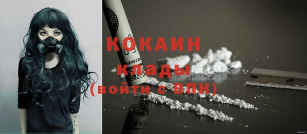мяу мяу кристалл Няндома