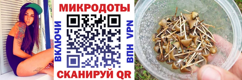 Псилоцибиновые грибы Psilocybine cubensis OMG как зайти это какой сайт Калач